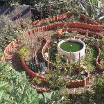 Jardim Papagaio Verde